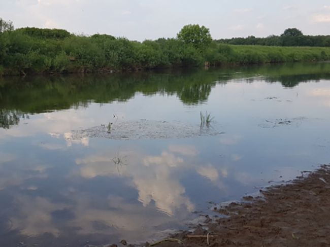 В Прикамье пьяный отец решил искупать дочь в реке – девочка утонула