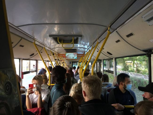 Вероника Куликова потребовала разобраться с давками в автобусах Перми