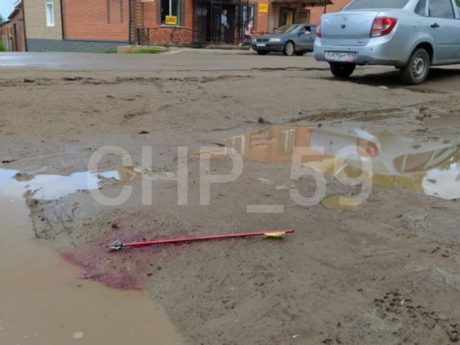 В Прикамье живодер с луком устроил «средневековую» охоту на собак