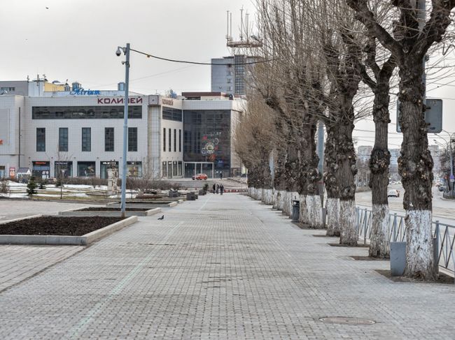 В Пермском крае могут ввести жесткий локдаун из-за коронавируса