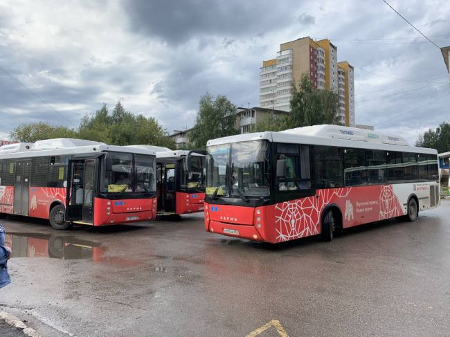 автобус пермь