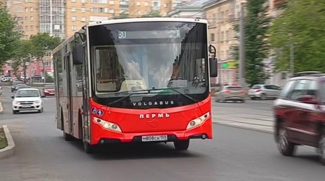 автобус