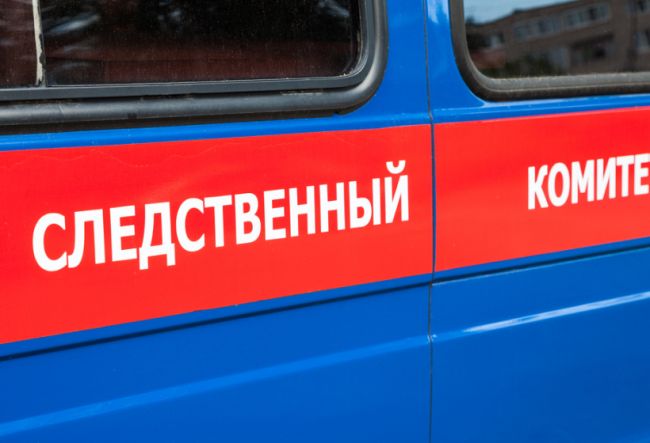 следственный комитет РФ