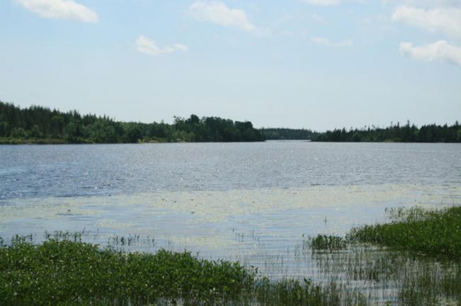 река