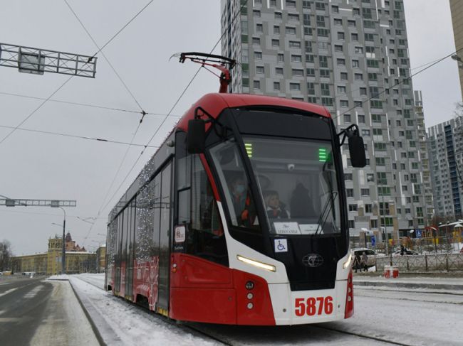 В автобусах и трамваях Перми могут начать дежурить сотрудники Росгвардии