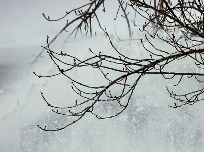 МЧС предупреждает о непогоде 10 января в Пермском крае
