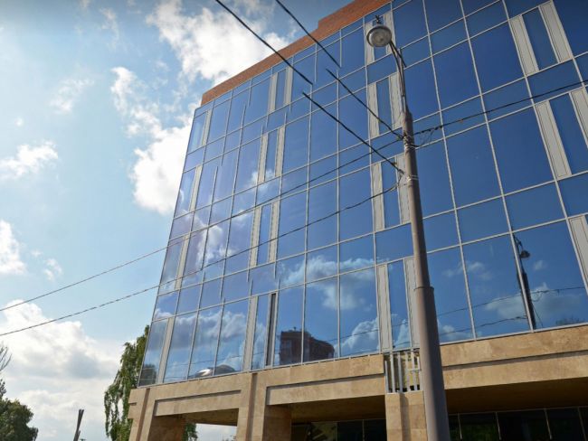 На пермской набережной обнаружены десятки мертвых птиц