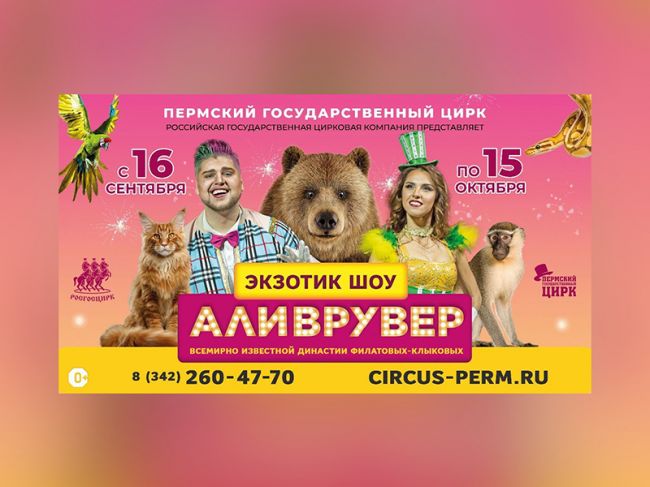 Медведи-акробаты и клоуны: в Пермском цирке представили экзотик-шоу «Аливрувер»