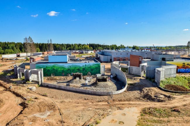 Новый зоопарк в Перми могут открыть к лету 2024 года