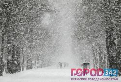 Ожидают нас не розы – снегопады и морозы