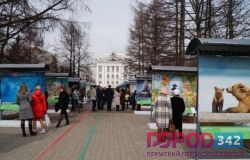 Конкурс «Красота леса глазами лучших фотографов»