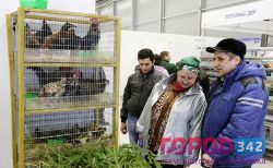 «Весенний сад и огород» в Перми