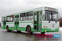В Соликамске обстреляли автобус