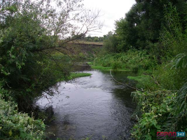 В пермских реках водятся язи и лещи