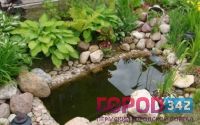 Пруд из старой ванны