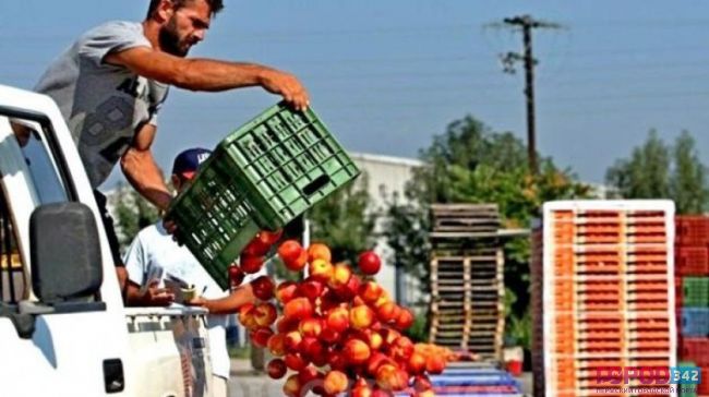 Фрукты-нелегалы