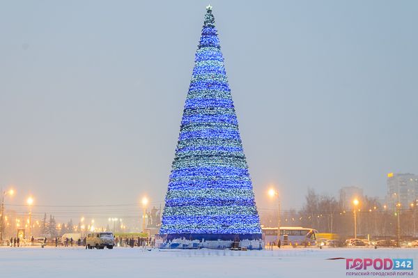 Здравствуй, елка!