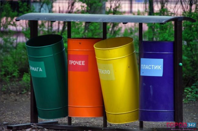 Гринпис одобряет