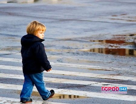 С начала года в ДПТ пострадало 11 детей