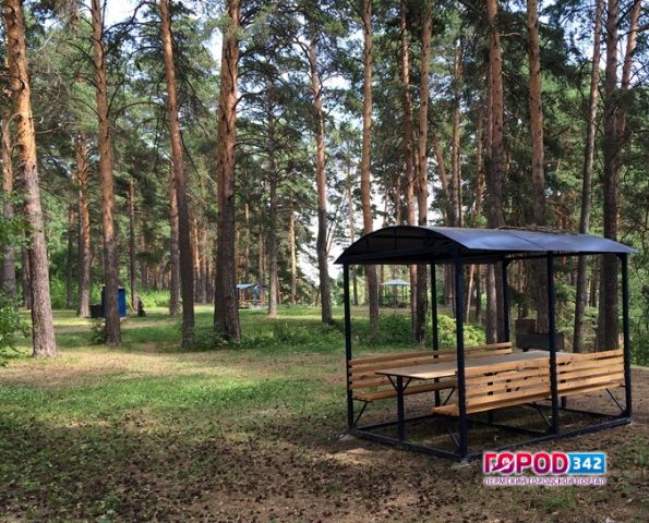 В лесах города Перми оборудуют 9 новых зон для отдыха
