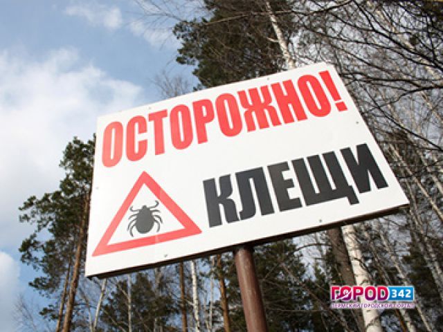 Клещи в Прикамье проснулись, а вакцины нет