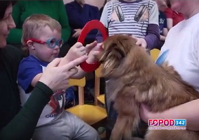 У Пермской «Школы особых знаний» появился собственный сайт