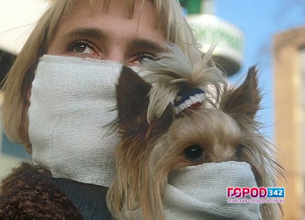 В воздухе одного из районов города Перми ощущается неприятный запах