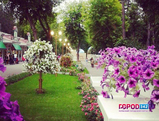Не успели взять билеты на юг? И в Перми есть интересный досуг