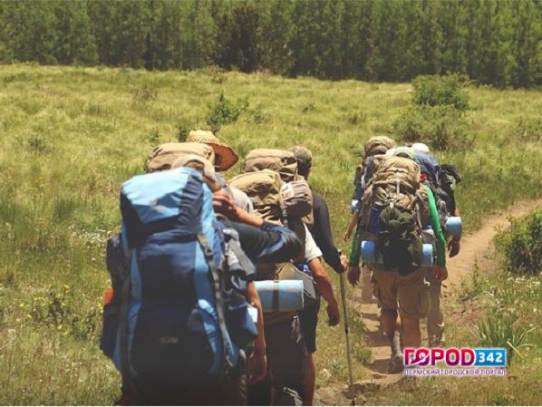 Девочка, потерянная туристической группой в лесу Прикамья, найдена