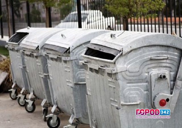 В Прикамье в мусорном баке нашли тело младенца