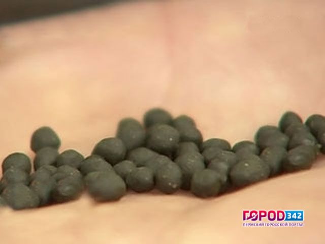 В Пермском крае школьник на перемене отравился насваем
