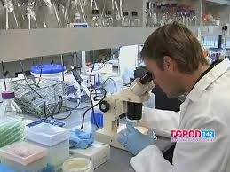 Чтобы поймать насильника, эксперты исследовали 10 тысяч ДНК-профилей