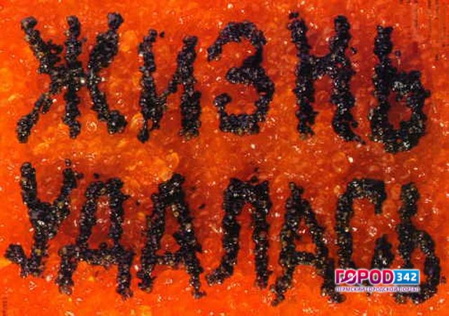 Новогодняя госзакупка: праздничный стол для чиновников за счет бюджета