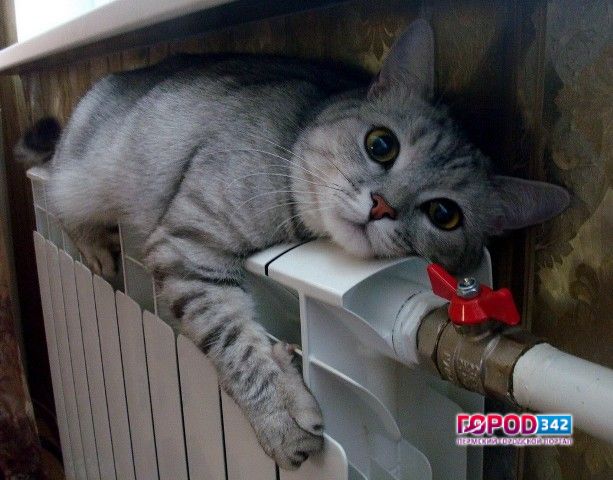 Управляющая компания отказалась заменить радиатор