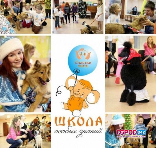 В Прикамье появилась «Точка роста г. Усолье. Школа особых знаний»