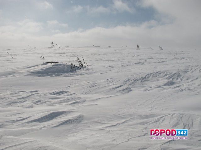 В столице Прикамья за неделю выпала почти месячная норма осадков, местами по краю — полторы месячных нормы осадков