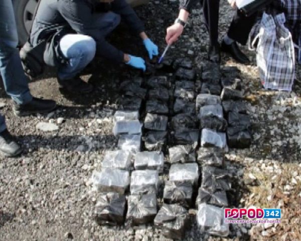 У жителя города Перми сотрудники угрозыска изъяли почти 50 килограммов гашиша