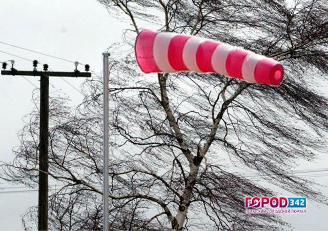 МЧС Пермского края предупреждает о сильном ветре с порывами до 15-20 м/с