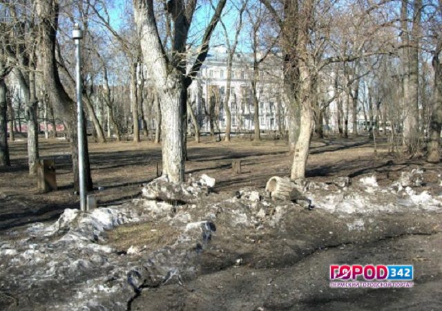 Глава Перми Дмитрий Самойлов посоветовал главам городских районов ночевать на газонах