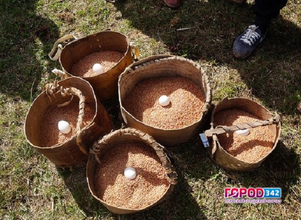 В музее Хохловка прошла посевная фестиваля KAMWA