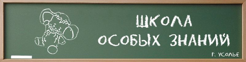 В Прикамье появилась «Точка роста г. Усолье. Школа особых знаний»