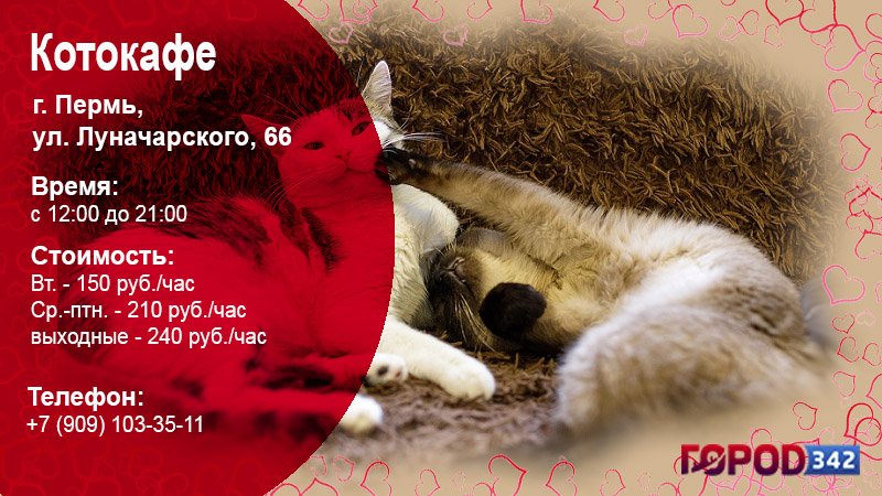 Куда сходить вдвоем? 21 небанальная идея в Перми и Пермском крае