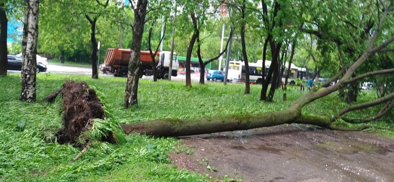 Из-за урагана в Перми на кафе обрушилась стена соседнего здания — несколько человек пострадали