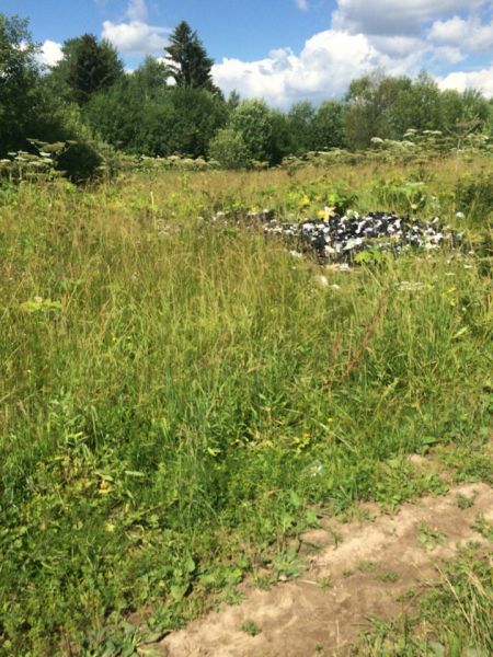 ​  В Перми возникла несанкционированная свалка новой обуви