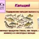 Для чего нам нужен кальций и где он содержится